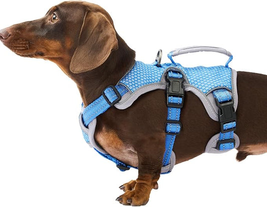 Escape Proof Dog Harness, Dachshund Harness, Reflective Dog Harness with Handle, Durable,Adjustable Vest for Small Medium Large Dogs Walking, Training, and Running Gear (Sea Blue,S)
