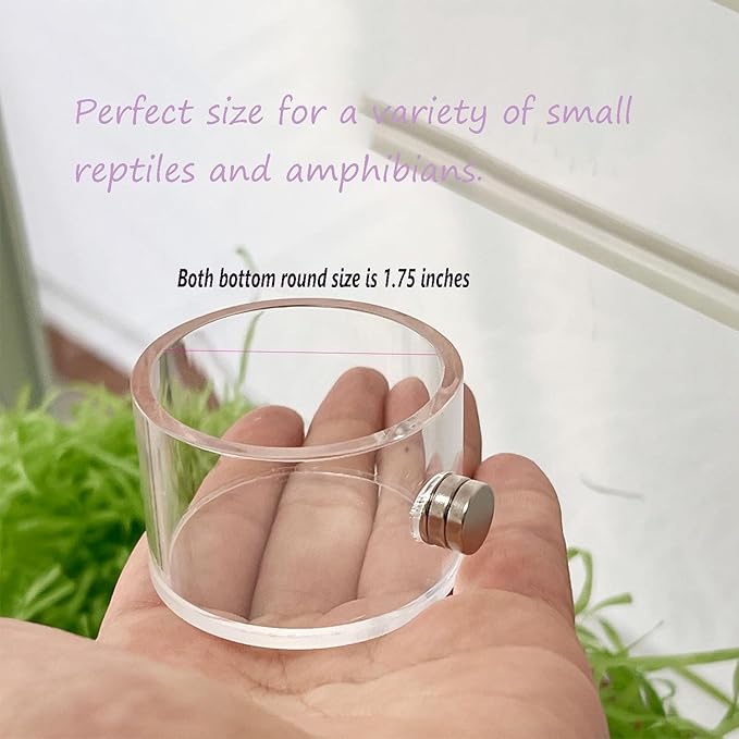 Tall Jumping Spider Feeding Dish, Magnetic Tiny Food Dishes Water Dish for Jumping Spider, Tarantula and Other Small Pets,(1.2in Tall)