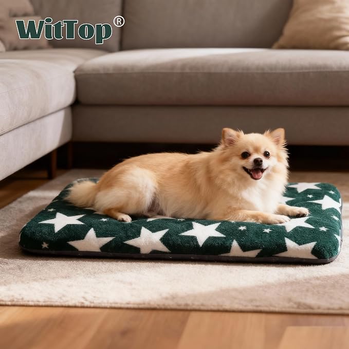 Washable Dog Bed Plush Orthopedic Outdoor Crate Mat with Non-Slip Bottom,Luxe Soft Kennel Pad for Pets, Cozy Cage Cushion & Pet Sleeping Mattress Large Sized,Medium,Small Dogs,30x20 inch,Green