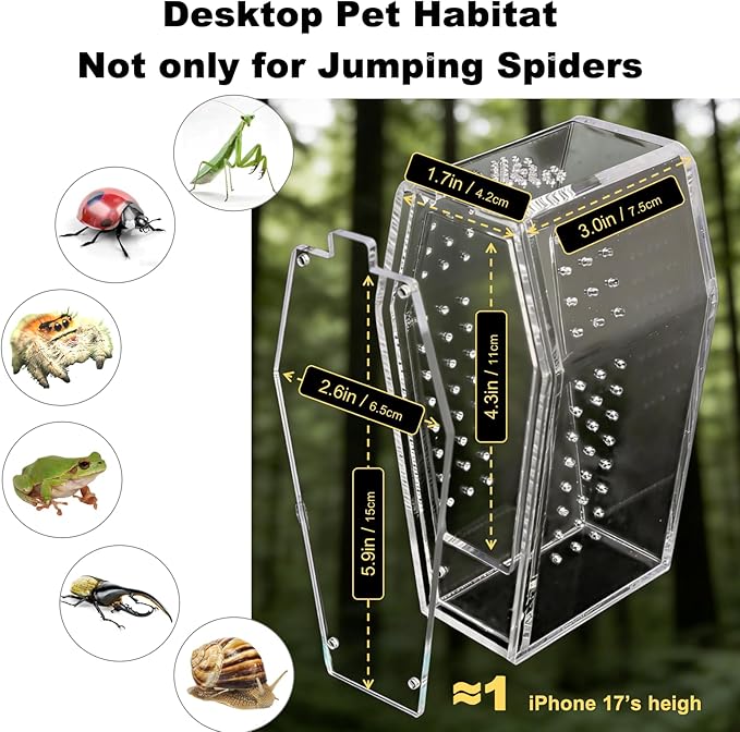 Jumping Spider Enclosure,Jumping Spider Enclosure Desktop Habitat,Terrarium (Enclosure Only)