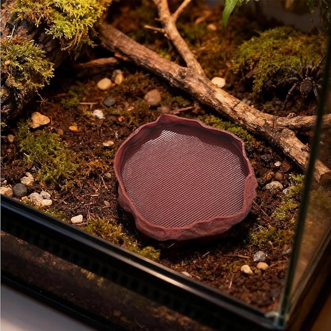 1 PCS Spider Micro Water Bowl Jumping Spider Feeding Dish Tarantula Water Dish for Millipede Gecko Lizard Tarantula Tiny Reptiles (2.17" D, 0.31" H) Black
