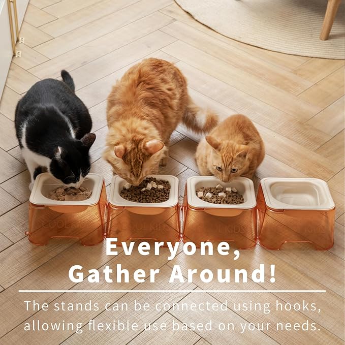 Cool Kids Elevated Cat Bowls – Raised Slanted Eco Fiber Disposable Set | Food-Grade Degradable Fiber, Cat Bowls for Small Dogs, Disposable No-Clean, Fits Camping & Travel, Multi-Pet & Stray Feeding