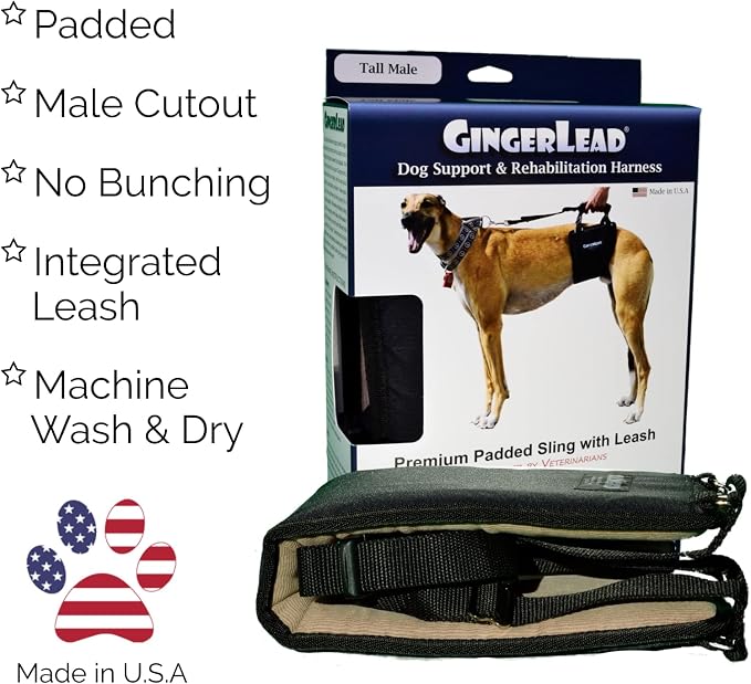 Dog Support Harness, Rear End Lift Sling, Tall Male, Made in USA | Fits Tall, Lean Dogs like Greyhounds or Great Danes, Padded Mobility Aid, Help Pets Walk or Balance, Machine Wash & Dry