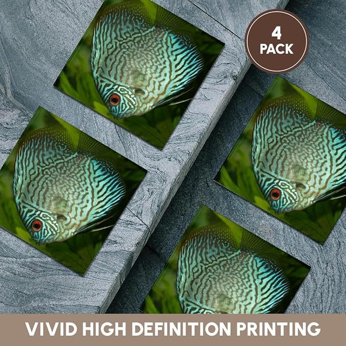 3dRose Blue Exotic Discus Fish Set of 4 Ceramic Tile Coasters