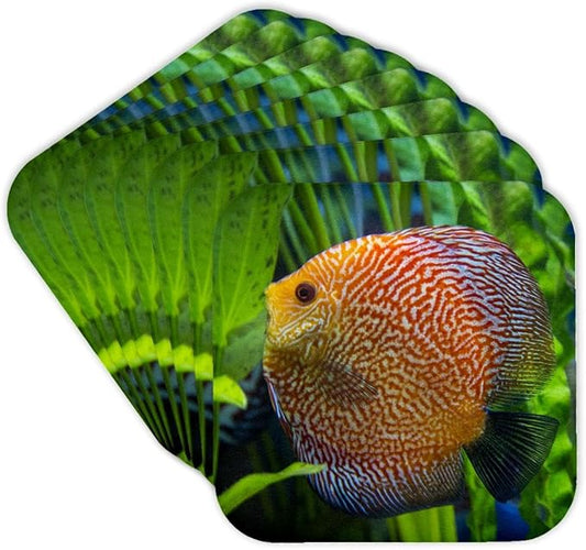 3dRose Super Pigeon Snakeskin Discus, Tropical Freshwater Fish Set of 8 Coasters - Soft