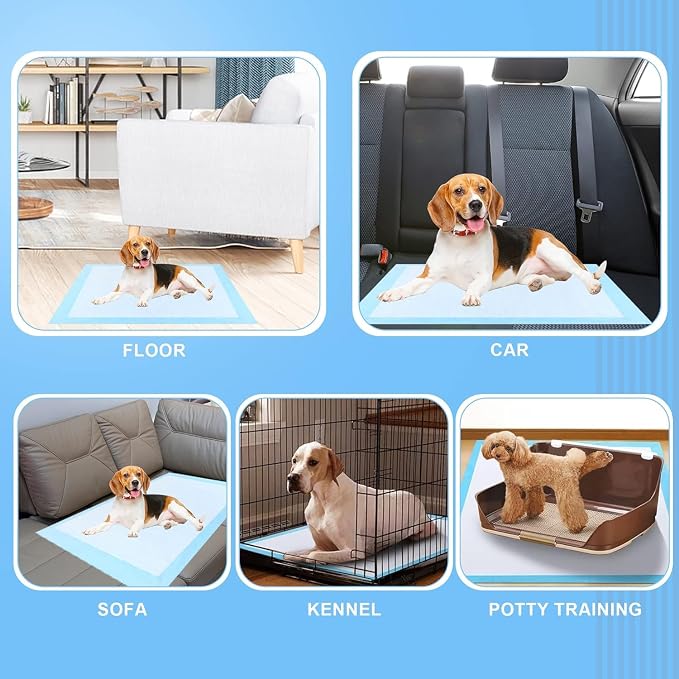 Puppy Pee Pads for Dogs 40"x40" 40 Count, Extra Large Dog Pee Pads, Leak-Proof & Super Absorbent Dog Pee Pads, Thicken Disposable Potty Pads Puppy Training Pads for Cats Rabbits
