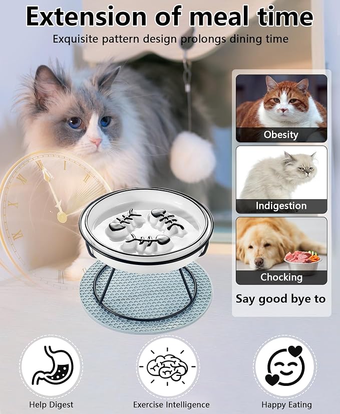 Ceramic Elevated Slow Feeder Cat Bowl, Anti Vomit, Removable Dish, Black | Removable Ceramic Bowl Slow Feeder Anti Vomit Whisker-Friendly Wet & Dry Food