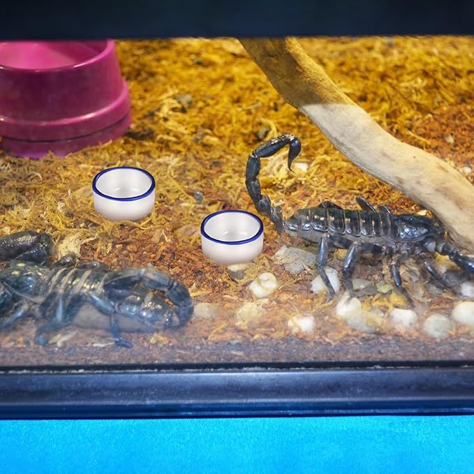 12pcs Small Ceramic Water Feeder Bowls and Spiders Mini Reptile Tank Water Containers Terrarium Basins for Small Pets
