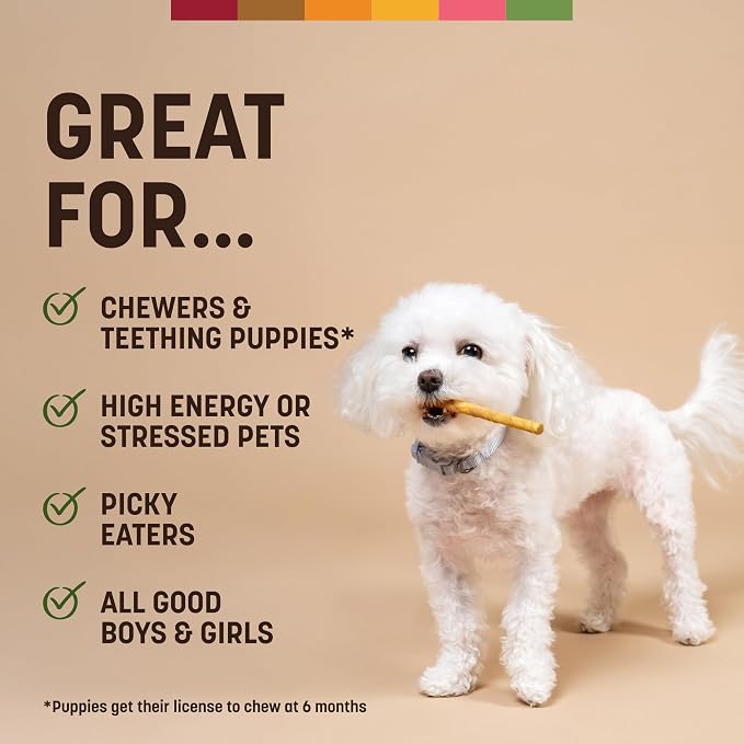 Earth Animal No Hide Stix - Rawhide Free Dog Chews Sticks 20 Count Pork | Small Sticks Pork Flavored Natural Rawhide Free Long Lasting Dog Chews - Treats for Small Dogs and Cats