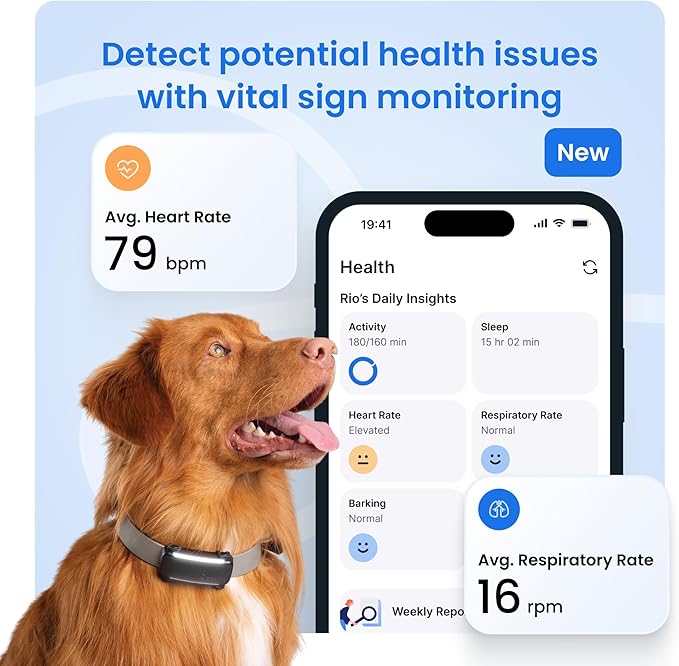 Tractive Smart Dog GPS Tracker with 6 Month Subscription | Live Pet Tracker with Virtual Fence | Vital Signs Monitoring of Heart & Respiratory Rate | Bark Monitoring | Dog Collar Attachment (Mint)