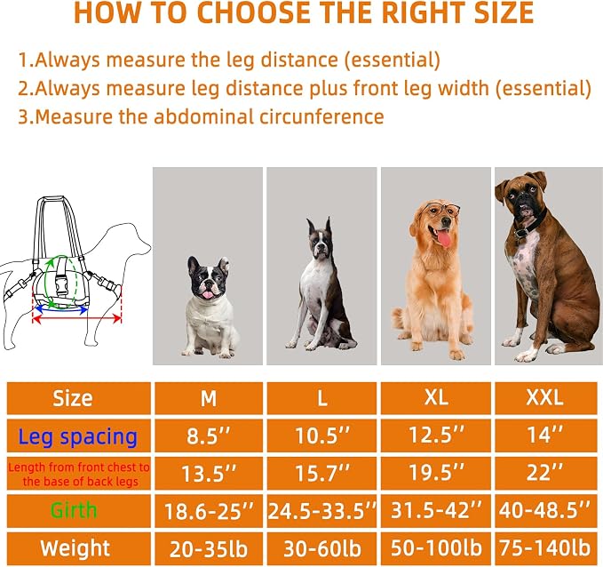 Dog Lift Harness for Large Dogs,Full Body Dog Sling Carrier, Blue, XL | Help Support Big, Elderly Pet with Arthritis, Front/Rear Legs Assistance with Handle, for Lifting Injured Dogs Up Stairs