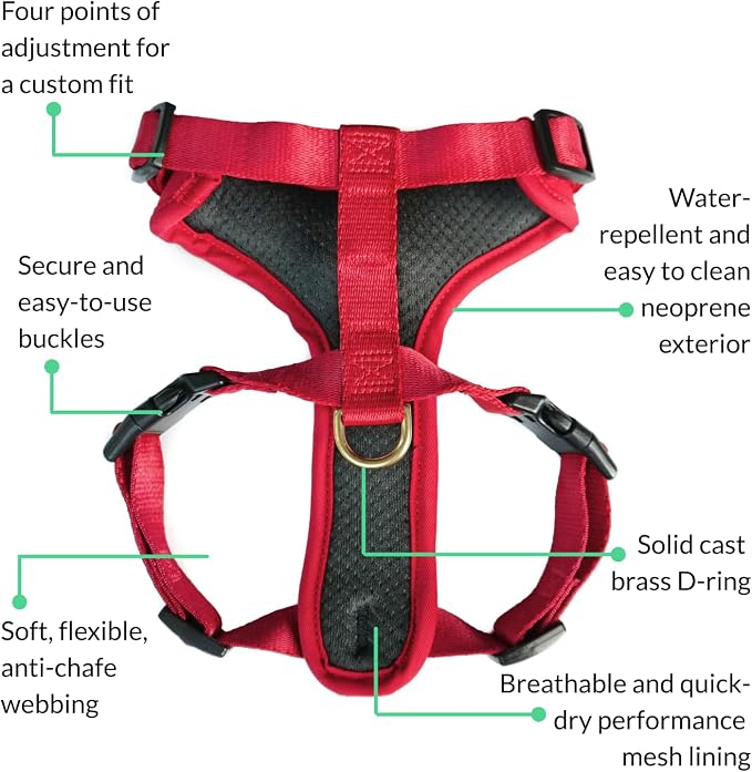 Adventure Dog Harness - Stylish and Durable Large Dog Harness for Outdoor Adventures and Everyday Wear - Red Neoprene Adjustable Harness for Dogs with Reflective Piping, Solid Brass D-Ring