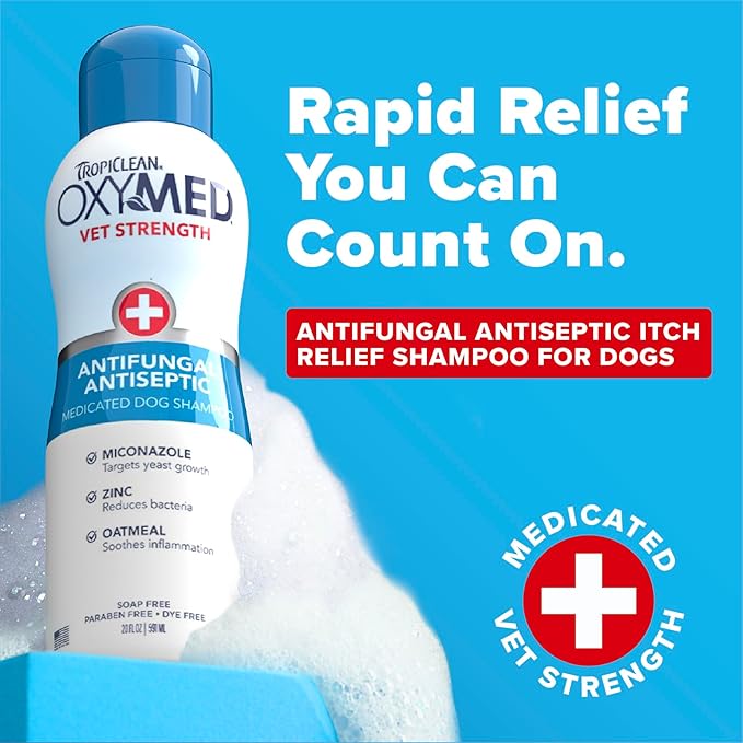 TropiClean OxyMed Medicated Antifungal Dog Shampoo, Yeast Dermatitis Treatment for Dogs, Deep Cleaning & Healing Formula with Miconazole, Zinc & Oatmeal, 20oz