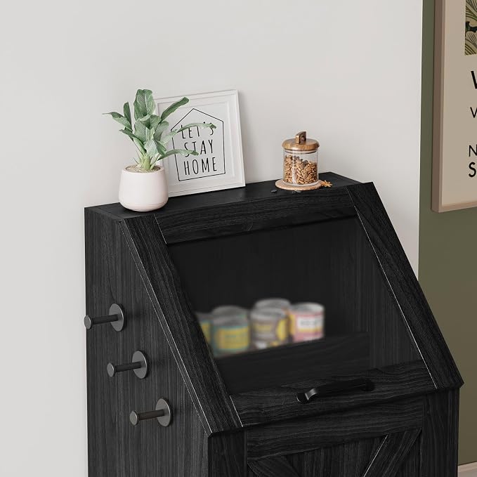 Dog Feeding Station with Storage Cabinet and 2 Elevated Dog Bowls, Hidden Pet Food Storage Organizer for Dog &Cat, Modern Dogs Furniture, Black
