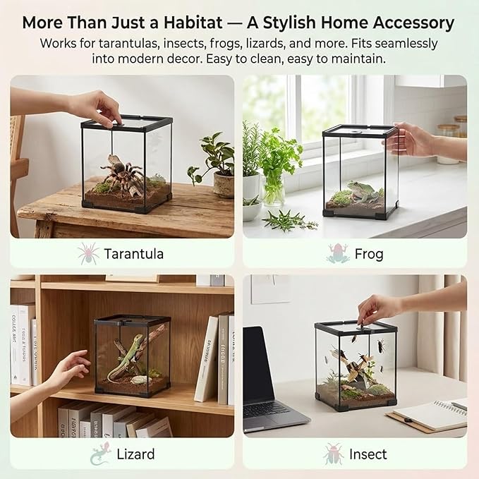 8x8x12 Terrarium Glass Tarantula Enclosure: Jumping Spider Enclosure with Lockable Sliding Screen Top for Crested Gecko Hermit Crab - Full View Stackable Vertical Tank for Arboreal Frog Habitat