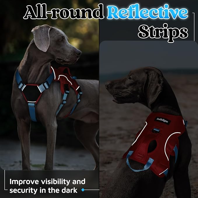 rabbitgoo Escape Proof Dog Harness for X-Large, No Pull with Lift Handle | No Escape, Full Soft Padded, Reflective Adjustable Vest, Leash Clip for Walking Hiking Training, Sky Blue & Red, X-Large