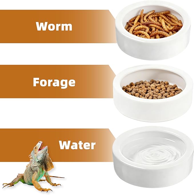 Escape-Proof Reptile Food Dish Bowl, Ceramic Reptile Feeding Dish & Small Animal Bowl for Lizard, Leopard Gecko, Hermit Crab, Hamster, Anti Escape Live Food & Water Dish (3x1in)