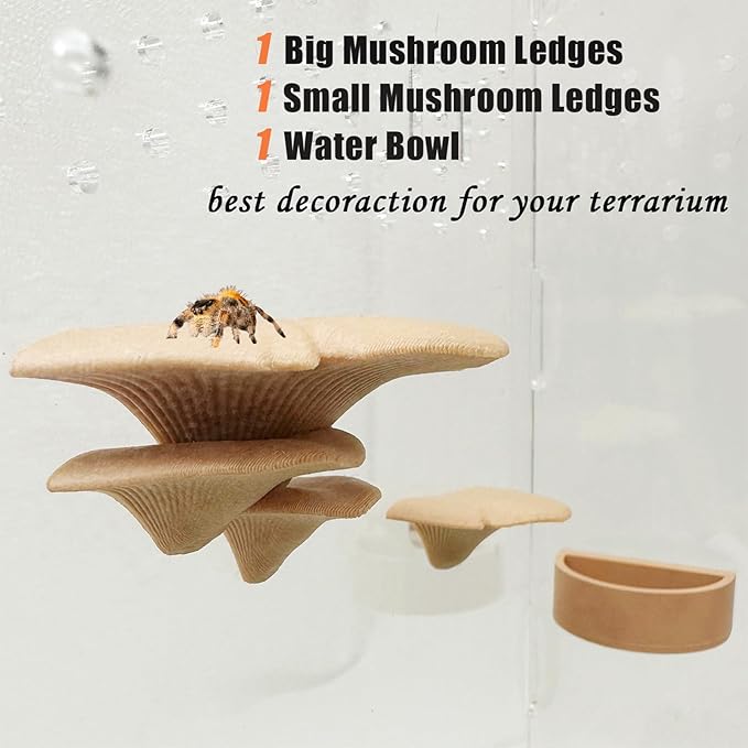 2 Pack Jumping Spider Accessories Mushroom Ledges & 1 Pack Water Bowl with Magnets for Spoods Jumping Spiders Magnetic Ledge Ladder Pet Spider Accessories (Not Included The Terrarium) (beige)