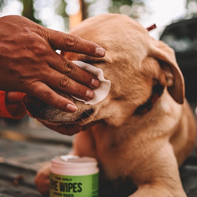 Natural Rapport Dog Eye Stain Wipes - The Only Eye Tear Stain Remover Dogs Need - Dog and Cat Tears Stain Removing Treatment (100 Wipes)