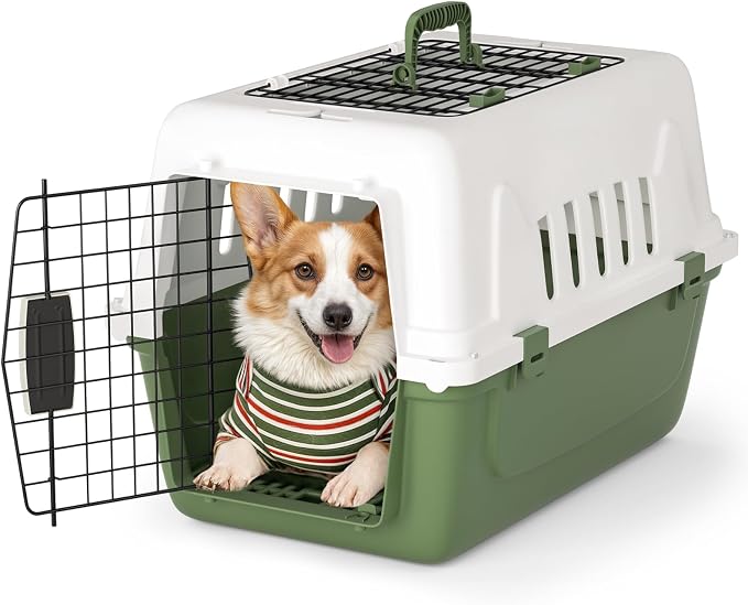 Magshion 22 Inch Hard-Sided Dog Cat Carrier, Green | Top and Front Door Access, Plastic Dog Kennel for Longer Traveling, Durable Handle and 4 Sides Ventilation, For Pet Up 26 lbs