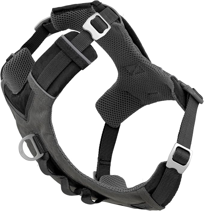 Kurgo Journey Air Dog Harness, Black, Small | Padded Chest, Ripstop Outer & Breathable Mesh, Back Assist Handle, Rust-Free Aluminum Hardware, Reflective Trim