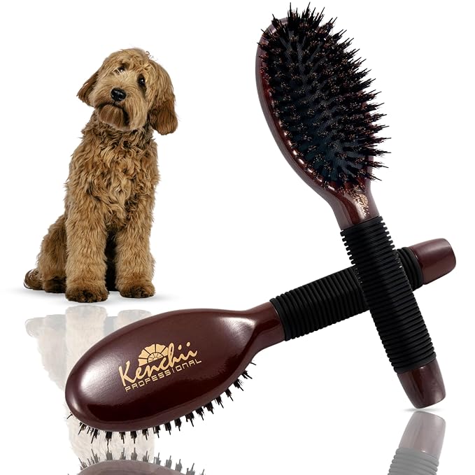 Kenchii Boar and Nylon Bristle Brush for Dog and Cat, Professional Grooming Brush with Maple Body, Lightweight, Non-Slip Rubber, Size Small