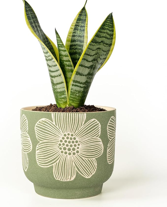 Succulent Pots 6 Inch, Plant Pot for Plants with Drainage Hole, Green Ceramic Planter Modern Floral Pattern, Round Flower Pots for Indoor Plants and Snake Plants - 1 Pack
