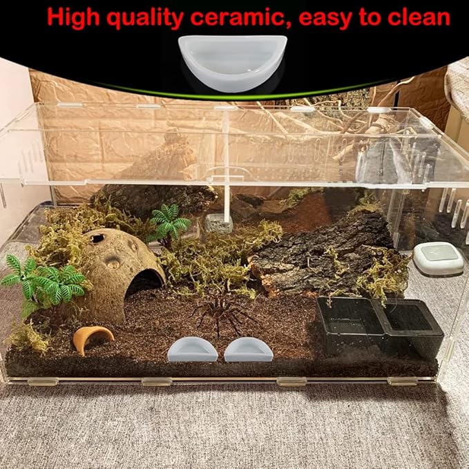 6 Pcs Spider Micro Water Bowl Hermit Crab Mini Ceramic Dish for Spider Hermit Crab Tarantula Millipede (Semicircle Shape)