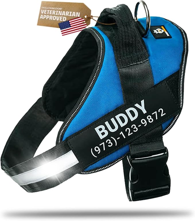 Personalized Dog Harness with Custom Name Patches, Adjustable Reflective No Choke Dog Vest with Handle for XXL Dog, Blue, 2XL