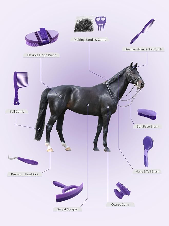 Harrison Howard Horse Grooming Kit 9 Piece with Tote Bag, Non-Slip Horse Brush Set for Shedding, Bathing, Hoof Care, Mane & Tail Grooming, Equine Grooming Supplies Purple