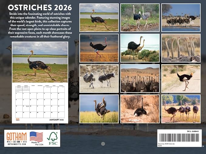 Ostrich Calendar 2026 Wall Monthly Ostrichs Gifts For Ostrich Lovers Women Men | American Made In The USA