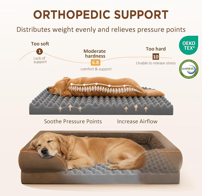 Comfort Expression Waterproof Orthopedic Dog Beds for Large Sized Dog | Supportive Egg Crate Foam Large Pet Bed with Removable Bolsters, Dog Couch with Washable Cover & Non-Slip Bottom, 38x25 Inch