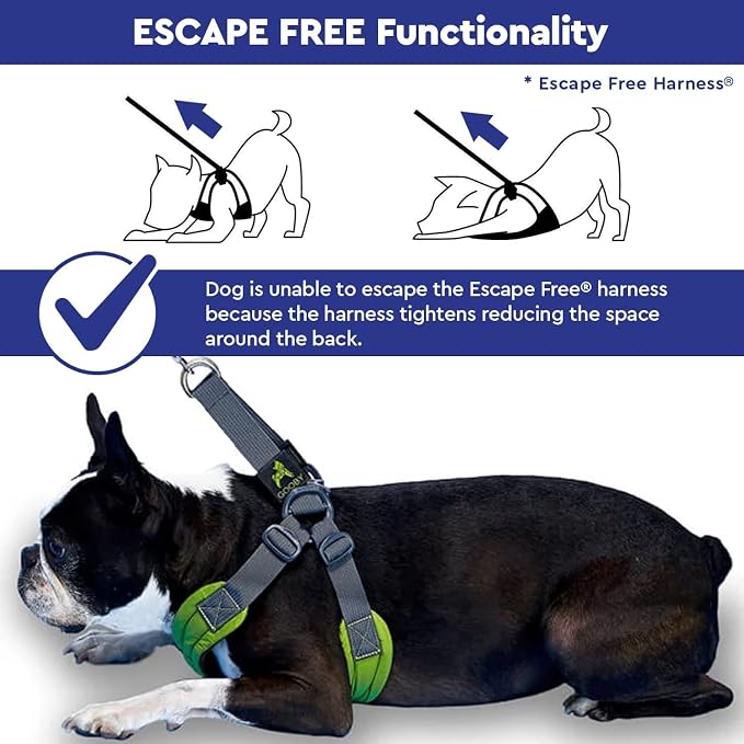 Gooby Escape Free Sport Dog Harness, Choke-Free, Red, Small | Patented escape-free frame; Reduces choking; 4-point adjustment; Soft neoprene padding; Durable webbed straps