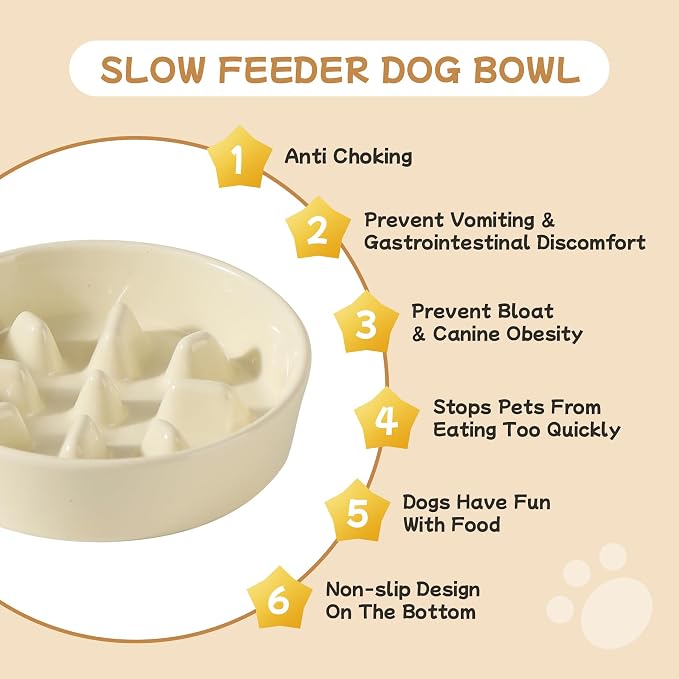 Havniva Elevated Slow Feeder Dog Bowls, Ceramic Dog Bowl Slow Feeder Set | 0.9 Cups Raised Slow Feeder Dog Bowl for Small Breed, 6.1” Dog Water Bowl with Wooden Stand, Puzzle Dog Food Bowl, Non-slip