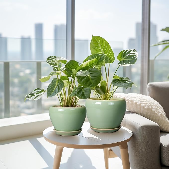 Ceramic Pots for Plants - 10/8/6 Inch Flowers Planters with Drainage Holes and Saucers for Indoor Outdoor, Decorative Modern Home House Office Room Decor, Set of 3, Green