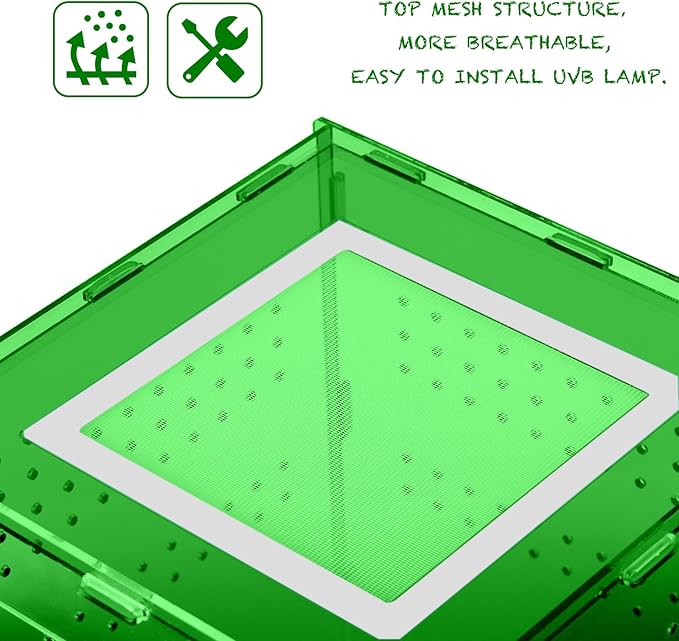 8x8x12 Acrylic Terrarium Reptile Tank – Cyberpunk Deep Green Reptile Enclosure Modeled After New Caledonia Rainforest for Lizards, Spiders & Small Reptiles