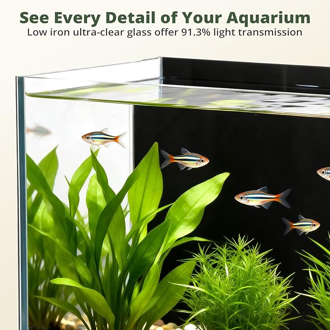 2.5 Gallon Small Fish Tank, Nano Aquarium with Ultra-Clear Glass, LED Light, Filter, Lid, Gravel and Rock, Desktop Beta Fish Aquarium Perfect for Shrimp, Snails or Live Plants