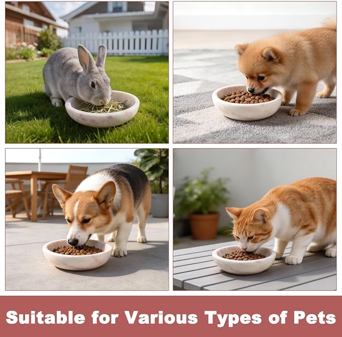 Natural Marble Cat Bowl, Weighted 1.5lb Cat Food Bowl for Cat and Small Dog, Small Animal Pet Food Dish Non-Slip, Shallow Cats Dish for Whisker Fatigue Relief, Premium Pink Stone for Home Decor
