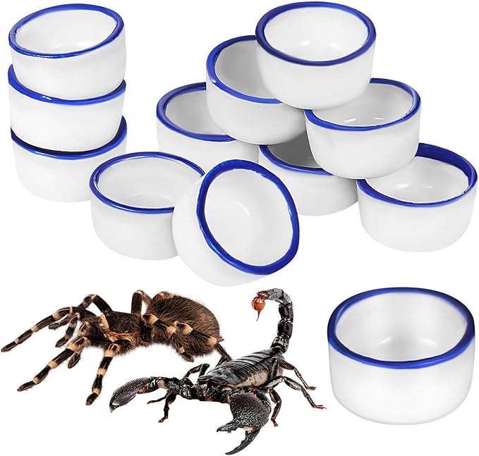 SUPVOX 12pcs Small Ceramic Water Basins and Spiders, Reptile Feeding Bowls for Terrarium, Sturdy Ceramic Food and Drinking Containers for Crawling Pets