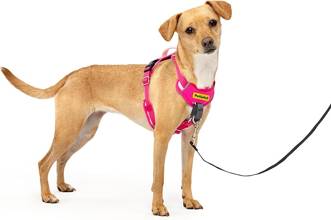 PetSafe Easy Walk Comfort No Pull Dog Harness, Pink, Extra Small | Stops Pulling on First Use with Front Martingale Loop, Full-Body Padding, 5-Point Adjustable Fit