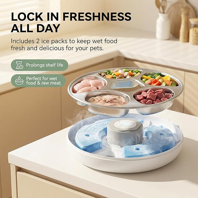 Ownpets Automatic Cat Feeder for Wet Food, with Stainless Steel Tray, 6 Meals Rechargeable Auto Pet Feeder with 2 Ice Packs, Cat Food Dispenser for Cats Small Dogs
