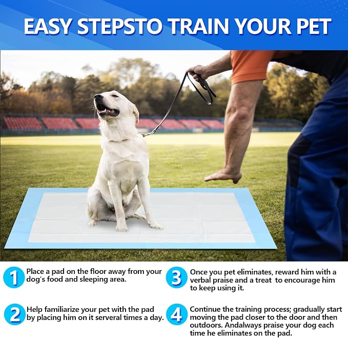 Large Pee Pads for Dogs 31"x47", 40count, Super Absorbent