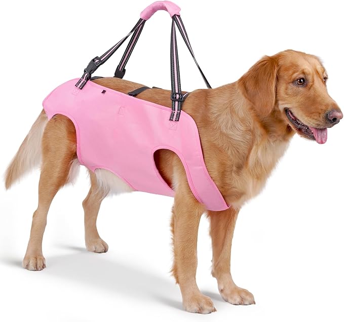 Full Body Dog Lift Harness, Support Senior & Disabled Dogs Walking | Help Up & Down Stairs Grooming, Dog Sling Backpack, Front Hind Leg Joint Injuries, Reflective, Soft Padded Handle | Pink, L