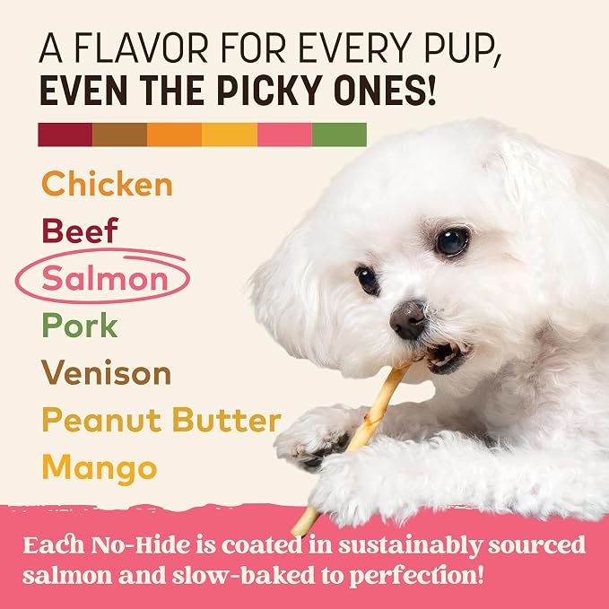 Earth Animal No Hide Stix - Rawhide Free Dog Chews Sticks 40 Count Salmon | Small Sticks Salmon Flavored Natural Rawhide Free Long Lasting Dog Chews - Pet Treats for Small Dogs and Cats
