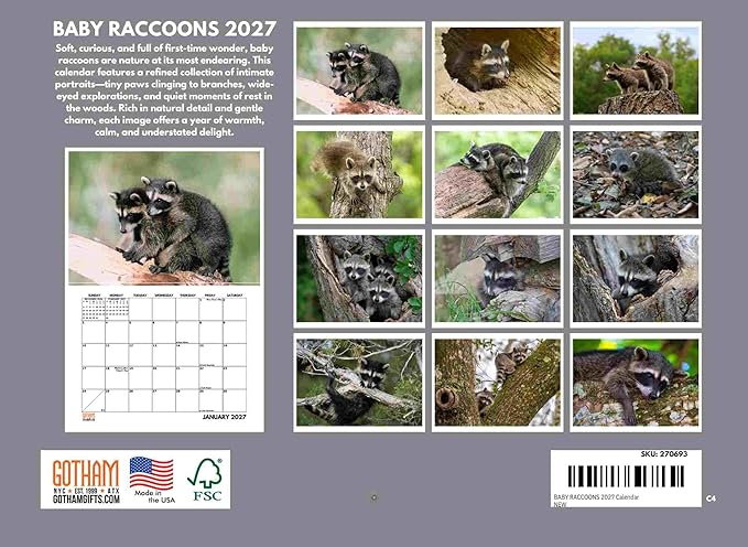 Baby Raccoon Calendar 2027 Monthly Wall Calender 12 Month