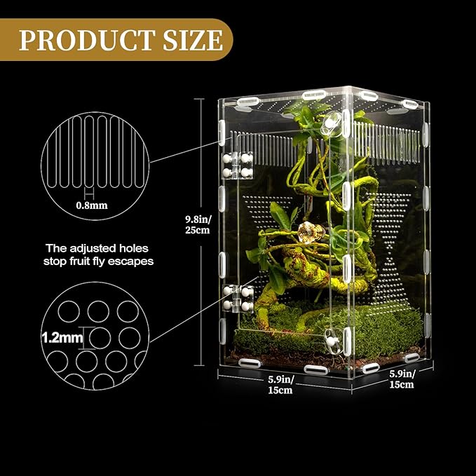 Acrylic Jumping Spider Habitat, Reptile Terrarium Easy Assembly, Bug Enclosure, Praying Mantis Habitat, Frog Enclosure, 9.8 * 5.9 * 5.9in