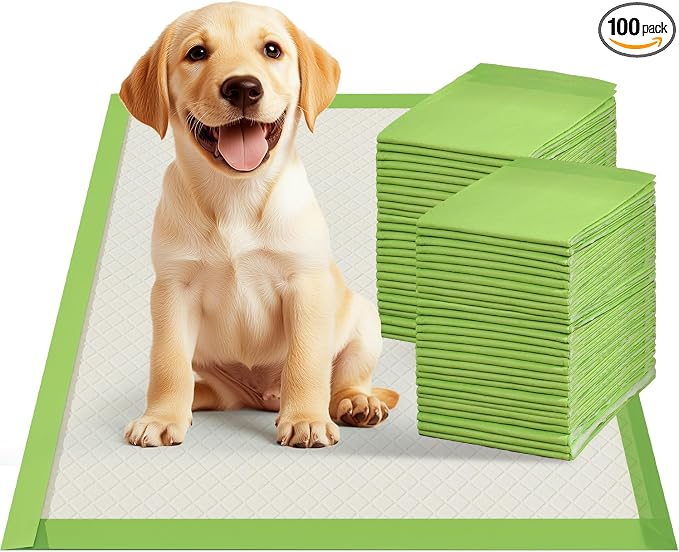 Dog Pee Pads Rugular 22"x22", Thicker ECO Green Small Disposable Puppy Training Pads Super Absorbent Full Edge-Wrapping Pad for Dogs, Puppies, Doggies, Cats-(100 Count)