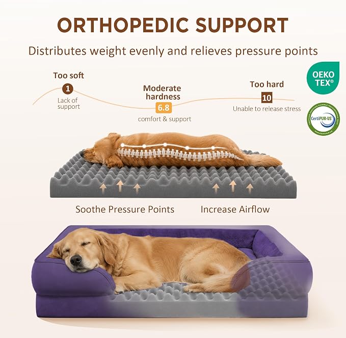 Comfort Expression Waterproof Orthopedic Dog Bed for Medium Size Dog | Supportive Egg Crate Foam Medium Pet Bed with Removable Bolsters, Dog Couch with Washable Cover & Non-Slip Bottom, 30x20 Inch