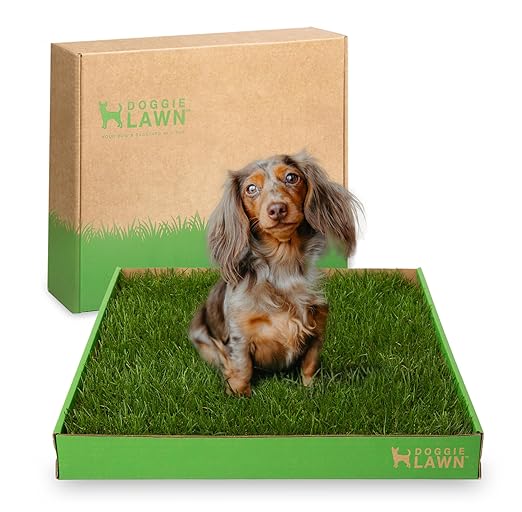 DoggieLawn Real Grass Dog Pee Pads w/ Tray - Standard Dog Potty Pad 24x16 | No-cleaning, odor-reducing puppy potty training pad for housebreaking, indoor or outdoor use, real grass, replace when needed