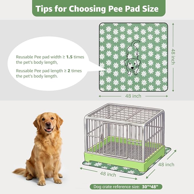 LOOBANI Extra Large Whelping Pad, 48"x48" Dog Pee Pads Washable, 2 Pack | Soft Reusable Dog Playpen Mat, Fast Absorbent, Non Slip, Waterproof And Leakproof For Floor, Crate, Potty Training